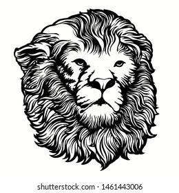 flat lion illustration vector, eps 10.