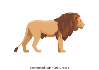 Flat lion. Vector illustration. Collection