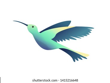 Flat little humming-bird, colibri isolated on white background. Vector illustration