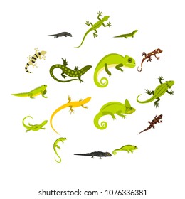 Flat lizard icons set. Universal lizard icons to use for web and mobile UI, set of basic lizard elements isolated vector illustration
