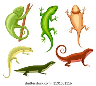 Flat Lizards Collection Cartoon Chameleon Climb Stock Vector (Royalty ...