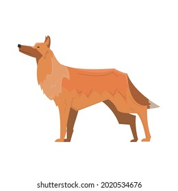 Flat long hair dog side view vector illustration