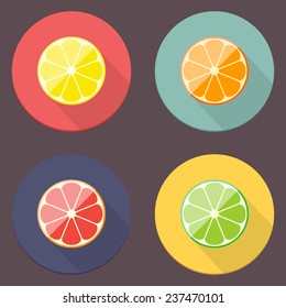 Flat long shadow citrus fruits icon set. High-quality vector icons for your design. Retro colors.