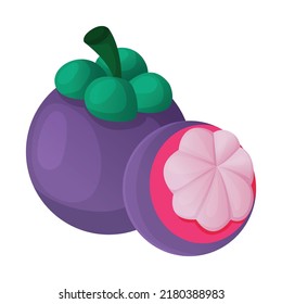 flat mangosteen fruit vector illustration