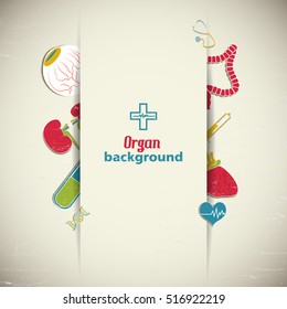 Flat medical background with colorful internal organs vector illustration