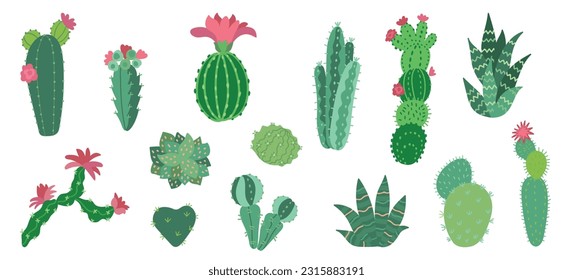 Cactus mexicano plano, desierto decorativo de cacti arizona. Suculento, decoración de color verde claro con flores. Actos aislados, floral hoy en día conjunto de vectores de dibujos animados