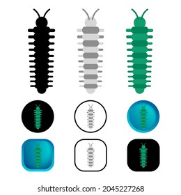 Flat Millipede Worm Animal Icon Collection