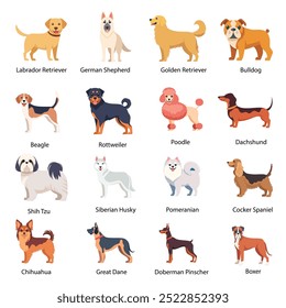 Razas de perro mínimas planas en conjunto de Vector. Labrador Retriever, pastor alemán, Golden Retriever, Bulldog, caniche, beagle, Rottweiler, Dachshund, Shih Tzu, Husky siberiano, boxeador, pomeraniano, Cocker Spaniel