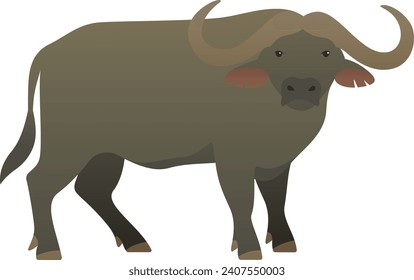 Flat minimalist color illustration of buffalo standing. African exotic wild animal clipart isolated on white background.