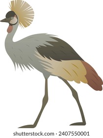 Flat minimalist color illustration of grey crowned crane standing. African exotic wild bird clipart isolated on white background.