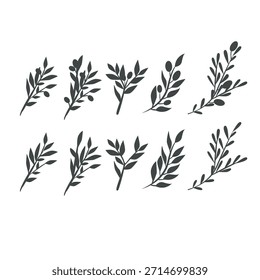 Rama de olivo minimalista plana con hojas y aceitunas. Elementos botánicos de Vector limpios y modernos en un estilo plano simple, perfecto para la marca, empaques, logotipos, invitaciones, diseño de bodas