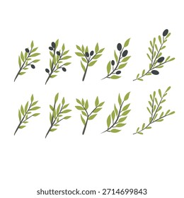 Flacher minimalistischer Olivenzweig mit Blättern und Oliven. Saubere, moderne Vektor botanische Elemente in einem einfachen flachen Stil, perfekt für Branding, Verpackung, Logos, Einladungen, Hochzeitsdesign