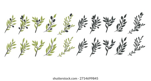 Rama de olivo minimalista plana con hojas y aceitunas. Elementos botánicos de Vector limpios y modernos en un estilo plano simple, perfecto para la marca, empaques, logotipos, invitaciones, diseño de bodas