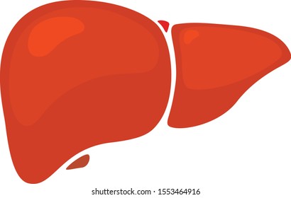 Flat modern design icon human liver vector illustration.