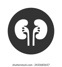 Flat modern design icon kindeys. Vector in modern flat style sign