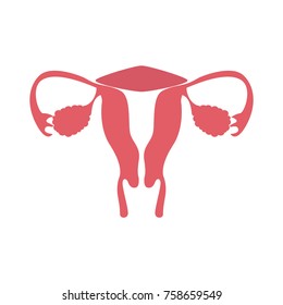 Flat modern design icon uterus. Vector eps10.