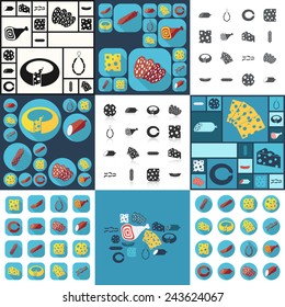 Flat modern design with shadow cheeses and sausages