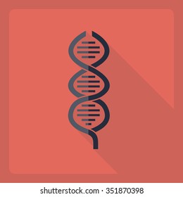 Flat modern design with shadow  Icon DNA