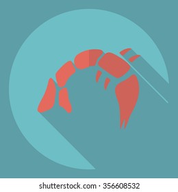 Flat modern design with shadow  Icon shrimp