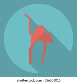 Flat modern design with shadow  Icon cat