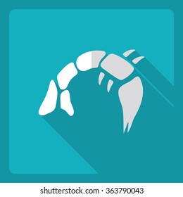 Flat modern design with shadow  Icon shrimp