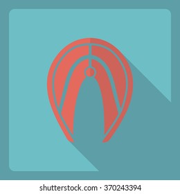 Flat modern design with shadow  Icon salmon