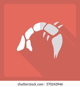 Flat modern design with shadow  Icon shrimp