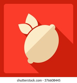 Flat modern design with shadow  Icon slots