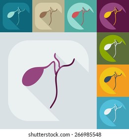 Flat modern design with shadow icons spleen