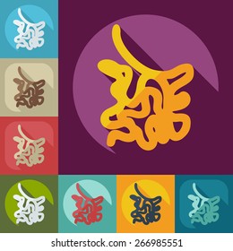 Flat modern design with shadow icons small intestine