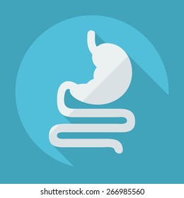Flat modern design with shadow icons stomach