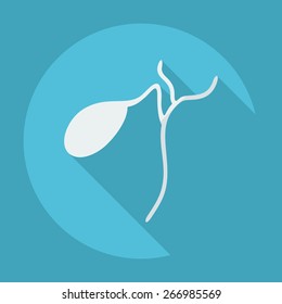 Flat modern design with shadow icons spleen
