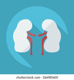 Flat modern design with shadow icons kidneys