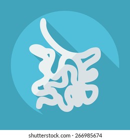 Flat modern design with shadow icons small intestine