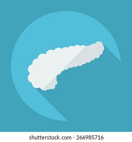 Flat modern design with shadow icons pancreas
