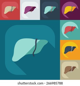 Flat modern design with shadow icons liver
