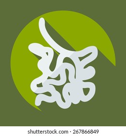 Flat modern design with shadow icons small intestine