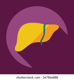 Flat modern design with shadow icons liver