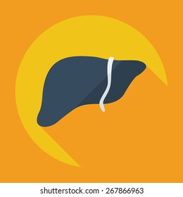 Flat modern design with shadow icons liver