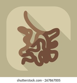 Flat modern design with shadow icons small intestine