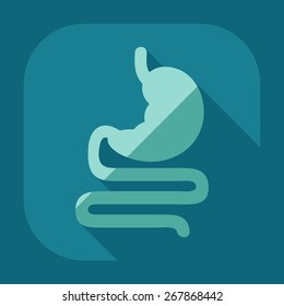 Flat modern design with shadow icons stomach