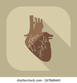 Flat modern design with shadow icons pancreas