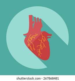 Flat modern design with shadow icons pancreas