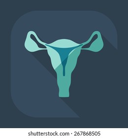 Flat modern design with shadow icons uterus