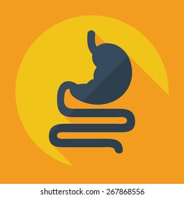 Flat modern design with shadow icons stomach