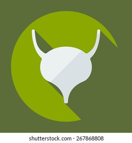 Flat modern design with shadow icons Bladder