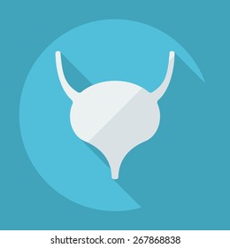 Flat modern design with shadow icons Bladder