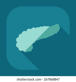 Flat modern design with shadow icons pancreas
