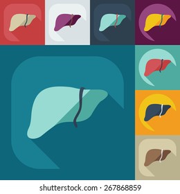 Flat modern design with shadow icons liver