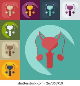 Flat modern design with shadow icons male reproductive system